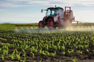Co powinien zawierać nawóz do kukurydzy?